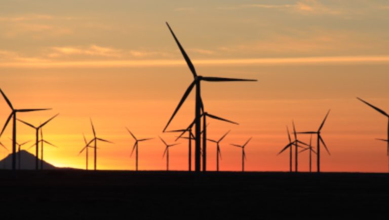 Steve Milloy: Stop falling for the wind turbine scam