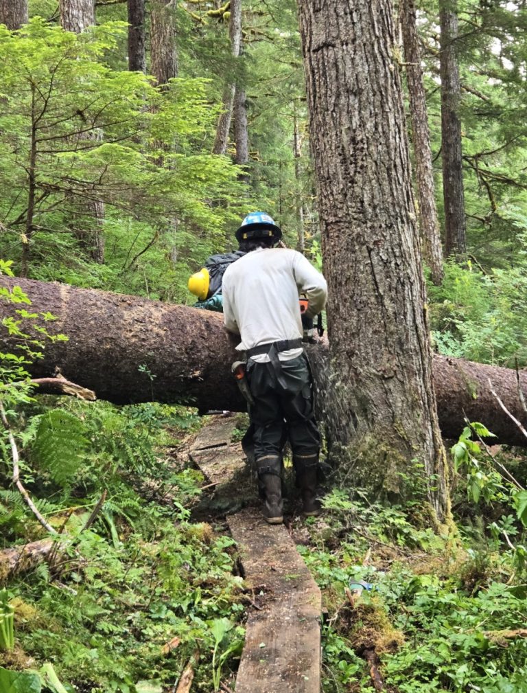 Trump slaps tariffs on imported wood products, citing national security threats
