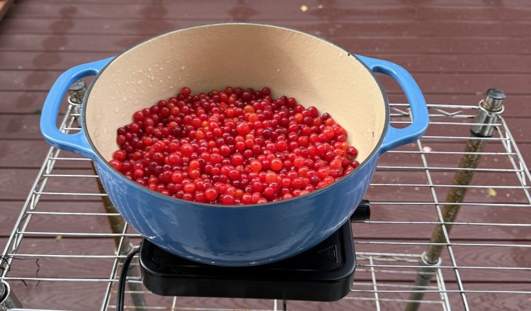 High-bush cranberry barbecue sauce